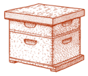 dessin 1 ruche