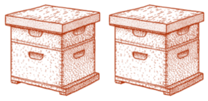 dessin 2 ruches