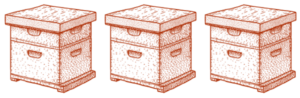 dessin 3 ruches